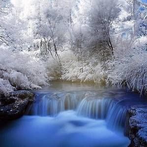 Meet your Posher, Tyrek